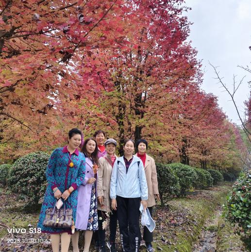 26e6e852bbeb553665b3af0525953423