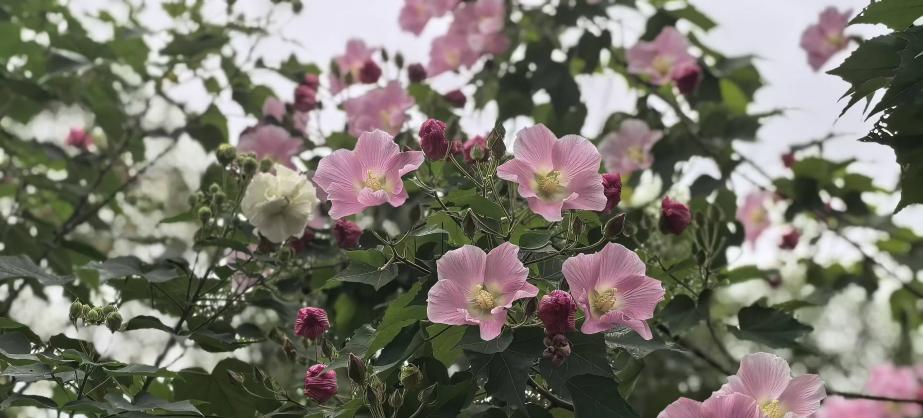 69d10af828718af9933dcf0856da5a32